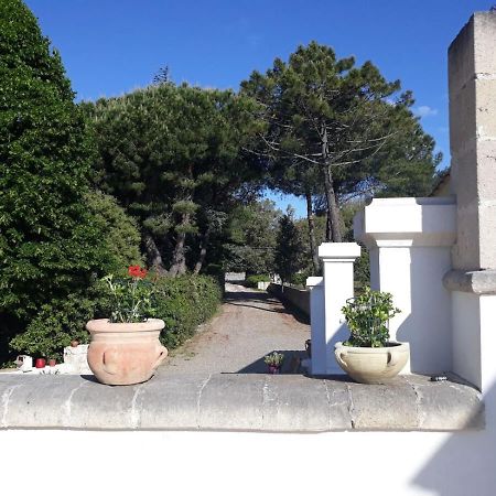 B&B Trulli E Mare Мартина-Франка Экстерьер фото